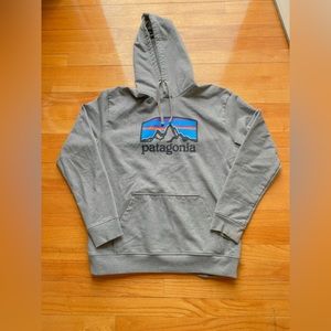 Patagonia Hoodie Size Men’s Large